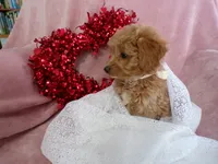 processed/9d8608f3-0c5b-4ab2-af47-8ef57b37f902/listing/2f18d0ad-f885-455e-9771-81a4799c4b97/e7b0cdf2-302a-4c16-a454-e51b32d0acfd