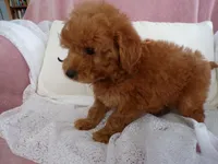 processed/9d8608f3-0c5b-4ab2-af47-8ef57b37f902/listing/3677d136-15fd-467a-be95-53e4c858d85c/5b06b80b-b1a5-4ff7-9a3c-b3722e59f0cd