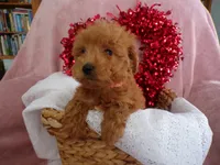 processed/9d8608f3-0c5b-4ab2-af47-8ef57b37f902/listing/3677d136-15fd-467a-be95-53e4c858d85c/705d907a-4bd1-463f-abe5-9aa3d543e4a1