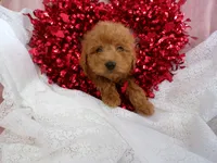 processed/9d8608f3-0c5b-4ab2-af47-8ef57b37f902/listing/3677d136-15fd-467a-be95-53e4c858d85c/cf781aeb-1c00-4da1-a181-7777323d14f2