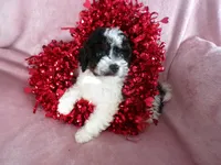 processed/9d8608f3-0c5b-4ab2-af47-8ef57b37f902/listing/5162c456-e3a0-4833-b86d-47b837a735ff/3b3f8b99-0684-4f44-90a9-17d60344eba2