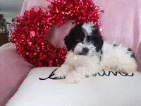 processed/9d8608f3-0c5b-4ab2-af47-8ef57b37f902/listing/5162c456-e3a0-4833-b86d-47b837a735ff/82869aaf-a0f6-4ebc-881e-d818a69ffbbb