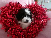 processed/9d8608f3-0c5b-4ab2-af47-8ef57b37f902/listing/5162c456-e3a0-4833-b86d-47b837a735ff/88991167-3fcc-4a9d-b6ad-8e2dab5475b0