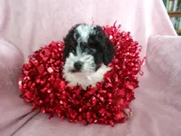 processed/9d8608f3-0c5b-4ab2-af47-8ef57b37f902/listing/5162c456-e3a0-4833-b86d-47b837a735ff/deb00fe4-461c-4b98-bd97-30d93286ea1d