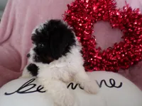 processed/9d8608f3-0c5b-4ab2-af47-8ef57b37f902/listing/5162c456-e3a0-4833-b86d-47b837a735ff/df9a8a6f-1c38-4583-987d-f34b32d87e68