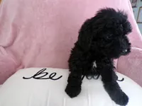 processed/9d8608f3-0c5b-4ab2-af47-8ef57b37f902/listing/6912a950-08b1-425f-8f69-dc82e2683166/45100669-b7a7-480b-8a55-74a73d1c4ab7