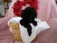 processed/9d8608f3-0c5b-4ab2-af47-8ef57b37f902/listing/6912a950-08b1-425f-8f69-dc82e2683166/646c7342-5b53-4939-b80e-c4f4d1d125ff