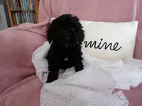 processed/9d8608f3-0c5b-4ab2-af47-8ef57b37f902/listing/6912a950-08b1-425f-8f69-dc82e2683166/6e6acef9-cfc7-4948-bef7-c325022c8258