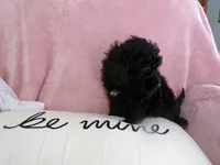 processed/9d8608f3-0c5b-4ab2-af47-8ef57b37f902/listing/6912a950-08b1-425f-8f69-dc82e2683166/91070d8c-c379-46e6-abcc-f6b5c0959ee5