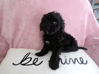 processed/9d8608f3-0c5b-4ab2-af47-8ef57b37f902/listing/6912a950-08b1-425f-8f69-dc82e2683166/bf553870-1f9e-48cf-abfd-04ce70d4845d