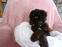 processed/9d8608f3-0c5b-4ab2-af47-8ef57b37f902/listing/766a1505-58c1-4374-bae8-f8111426bf84/3a0fb9fb-8b41-401f-961d-95d6c9c53453