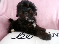 processed/9d8608f3-0c5b-4ab2-af47-8ef57b37f902/listing/766a1505-58c1-4374-bae8-f8111426bf84/3f9b67cf-e750-4968-a148-ccd9ea121c03