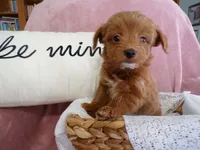 processed/9d8608f3-0c5b-4ab2-af47-8ef57b37f902/listing/e2d86b61-2452-42e6-8027-964560e9130d/2c1468ef-8235-4777-aa52-70f012f158e2