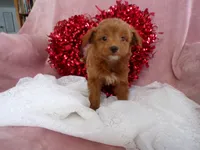 processed/9d8608f3-0c5b-4ab2-af47-8ef57b37f902/listing/e2d86b61-2452-42e6-8027-964560e9130d/656ad69a-dc6b-4983-98c8-7b4e53509d64