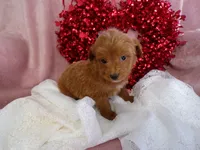 processed/9d8608f3-0c5b-4ab2-af47-8ef57b37f902/listing/e2d86b61-2452-42e6-8027-964560e9130d/aee809ad-195b-4af7-80fd-6cb3a5e26847