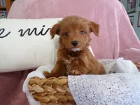 processed/9d8608f3-0c5b-4ab2-af47-8ef57b37f902/listing/e2d86b61-2452-42e6-8027-964560e9130d/be964d04-e82d-4d90-bb87-c823abcb01c0