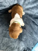 processed/9d8acc8f-9d01-42d1-aa9f-c850abe1871d/listing/1b069c9d-5eab-4bc1-b176-99b54bbfcb97/00afd758-61f1-4ee4-94e0-1ecb3150df82