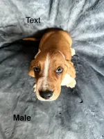 processed/9d8acc8f-9d01-42d1-aa9f-c850abe1871d/listing/1b069c9d-5eab-4bc1-b176-99b54bbfcb97/08dec4a0-d098-4e2e-9573-ce6c731648c6