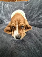 processed/9d8acc8f-9d01-42d1-aa9f-c850abe1871d/listing/1b069c9d-5eab-4bc1-b176-99b54bbfcb97/9fda4630-20a7-4377-a279-9712474e1dae