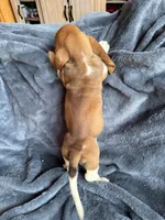 processed/9d8acc8f-9d01-42d1-aa9f-c850abe1871d/listing/3184d56a-61f4-4b9b-8387-c9acdbefa4de/1a932c14-8d91-4f2b-b011-1335eafab95f