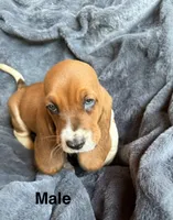 processed/9d8acc8f-9d01-42d1-aa9f-c850abe1871d/listing/3184d56a-61f4-4b9b-8387-c9acdbefa4de/e1ad9017-392f-413a-90f7-530949d8659d