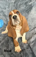 processed/9d8acc8f-9d01-42d1-aa9f-c850abe1871d/listing/5ada582e-da25-40dd-bef1-851901202156/5047955a-8de3-4381-8020-5ecf4ae7c7ce