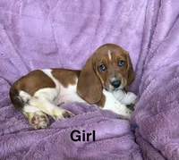 processed/9d8acc8f-9d01-42d1-aa9f-c850abe1871d/listing/6ba817f7-5e2d-4158-9f84-ae5125e9c9e7/e259146e-d83b-4f48-8283-37a1d75076ab