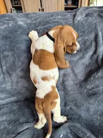 processed/9d8acc8f-9d01-42d1-aa9f-c850abe1871d/listing/75839cca-f455-4468-8bdd-9ba76a7d8c77/4fd20124-11de-4c85-b4a9-ac6fd78507ce