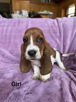 processed/9d8acc8f-9d01-42d1-aa9f-c850abe1871d/listing/857eb5c0-c8f3-4767-98ef-62b8072e47d1/1c085f58-4e47-4e0e-869b-350f646f1ce3