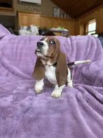 processed/9d8acc8f-9d01-42d1-aa9f-c850abe1871d/listing/857eb5c0-c8f3-4767-98ef-62b8072e47d1/9062d494-3e08-4d11-8306-9aa3773bc555