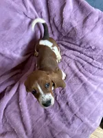 processed/9d8acc8f-9d01-42d1-aa9f-c850abe1871d/listing/857eb5c0-c8f3-4767-98ef-62b8072e47d1/f5102c31-f8e9-4cd4-b020-767d8465b4ba