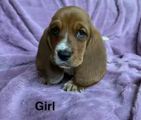 processed/9d8acc8f-9d01-42d1-aa9f-c850abe1871d/listing/b37bf5a2-2604-4405-a719-0487eb00611a/2f0d2018-4b20-4ca5-aca9-5556761c4b5e