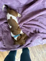 processed/9d8acc8f-9d01-42d1-aa9f-c850abe1871d/listing/b37bf5a2-2604-4405-a719-0487eb00611a/d9acf778-2960-4ab3-b5f8-c7c557421ed2