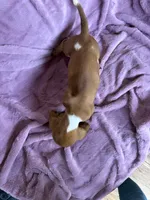 processed/9d8acc8f-9d01-42d1-aa9f-c850abe1871d/listing/b4797f46-9f82-44a7-835b-8680d320a7f6/6520e13f-54e6-4bc1-88e4-0f044f047444