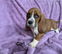 processed/9d8acc8f-9d01-42d1-aa9f-c850abe1871d/listing/b4797f46-9f82-44a7-835b-8680d320a7f6/a2bd16f4-bda7-4788-9862-a516f6c86016