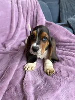 processed/9d8acc8f-9d01-42d1-aa9f-c850abe1871d/listing/bfc0f6a8-03b9-4d8a-bac1-5d62f5dbe053/daa0d545-c87e-4d31-b923-5795992d421c