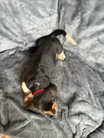 processed/9d8acc8f-9d01-42d1-aa9f-c850abe1871d/listing/c95480ea-7563-4811-80af-c1cb5e46cee6/0588b951-ab79-41c2-be94-35891ff3e4fc