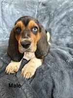 processed/9d8acc8f-9d01-42d1-aa9f-c850abe1871d/listing/c95480ea-7563-4811-80af-c1cb5e46cee6/d28ef487-b204-4950-8d6b-d4331ad58fb8