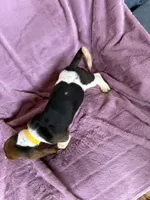 processed/9d8acc8f-9d01-42d1-aa9f-c850abe1871d/listing/d68020ff-2214-420f-af20-56ba22c23f55/4de9dcdb-5b55-4c12-92d2-72a628536969