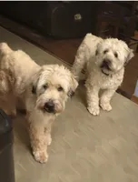 processed/9d8d4ab0-38b0-4c45-a3cf-cfabfa0042f2/listing/9558bbaf-5876-4dc0-ae06-98389d372c63/5131ff94-9377-46b9-aaac-484ae34286fc