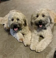 processed/9d8d4ab0-38b0-4c45-a3cf-cfabfa0042f2/listing/9558bbaf-5876-4dc0-ae06-98389d372c63/adc3b2b8-d58b-4c22-9d32-33fde26db727