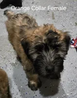 processed/9d8d4ab0-38b0-4c45-a3cf-cfabfa0042f2/listing/9558bbaf-5876-4dc0-ae06-98389d372c63/df11c7d2-8c75-4d02-8bd0-891b6036fff8