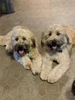 processed/9d8d4ab0-38b0-4c45-a3cf-cfabfa0042f2/listing/e5f7b860-bea9-4d28-bca0-dc6a97431d5d/4e6ee785-c4e8-4718-bd37-bd45a970b688