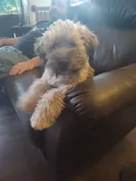 processed/9d8d4ab0-38b0-4c45-a3cf-cfabfa0042f2/listing/e5f7b860-bea9-4d28-bca0-dc6a97431d5d/dee3a80f-9322-4e8c-b001-f5b44dd06f9f