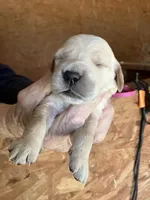 processed/9d94495a-a252-4249-9378-3ea6946f8e94/listing/28619e92-2d66-4228-98cd-47d39fc27e00/05832ce8-7f03-4007-85a1-c51ee04fa483