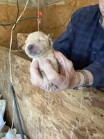 processed/9d94495a-a252-4249-9378-3ea6946f8e94/listing/28619e92-2d66-4228-98cd-47d39fc27e00/7a204b2c-0a3f-46a8-b014-5486f590356d