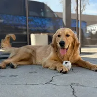 processed/9d9cb12d-5261-4a02-b31f-09645a1bc823/facility/17671a7b-ced7-452a-adc8-ce91d7239aef