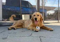 processed/9d9cb12d-5261-4a02-b31f-09645a1bc823/facility/17671a7b-ced7-452a-adc8-ce91d7239aef