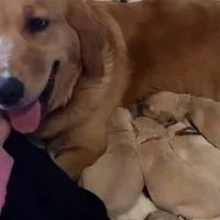 processed/9d9cb12d-5261-4a02-b31f-09645a1bc823/facility/278041a0-446d-4d8c-82e5-5e864bcefa67