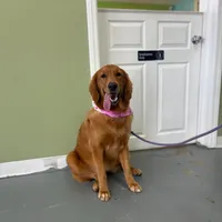 processed/9d9cb12d-5261-4a02-b31f-09645a1bc823/facility/7c711efb-72d3-45a4-8b8c-68fab51b1645